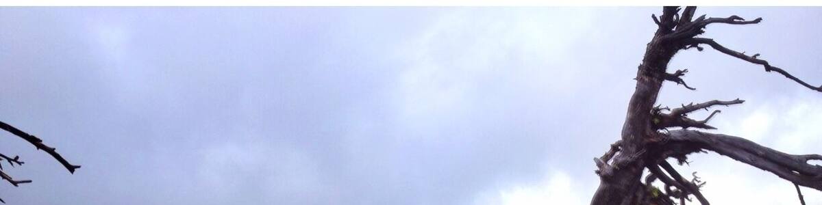 Paulina Lake is actually a volcanic crater and at 249 feet, one of the deepest. Taken from Paulina Peak over 7200 feet elevation.