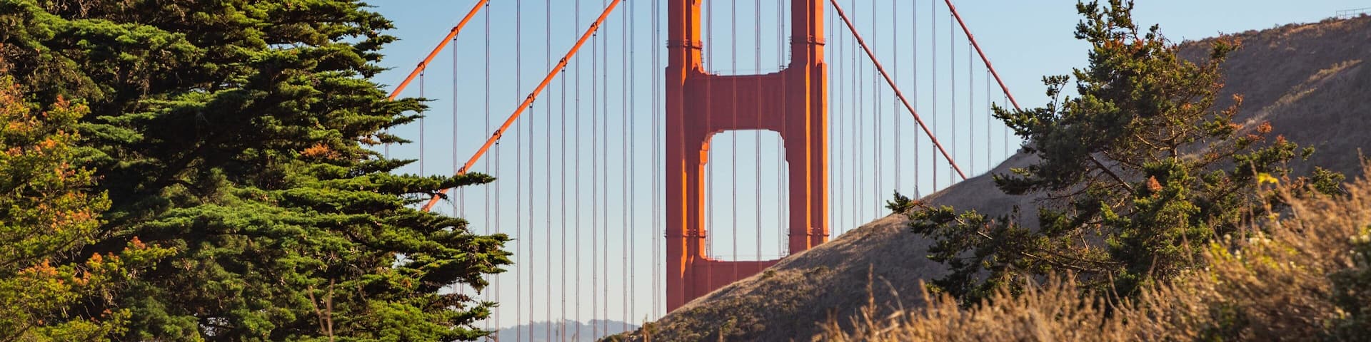 The Golden Gate Bridge with its distinctive towers and cables, surrounded by trees and hills.
