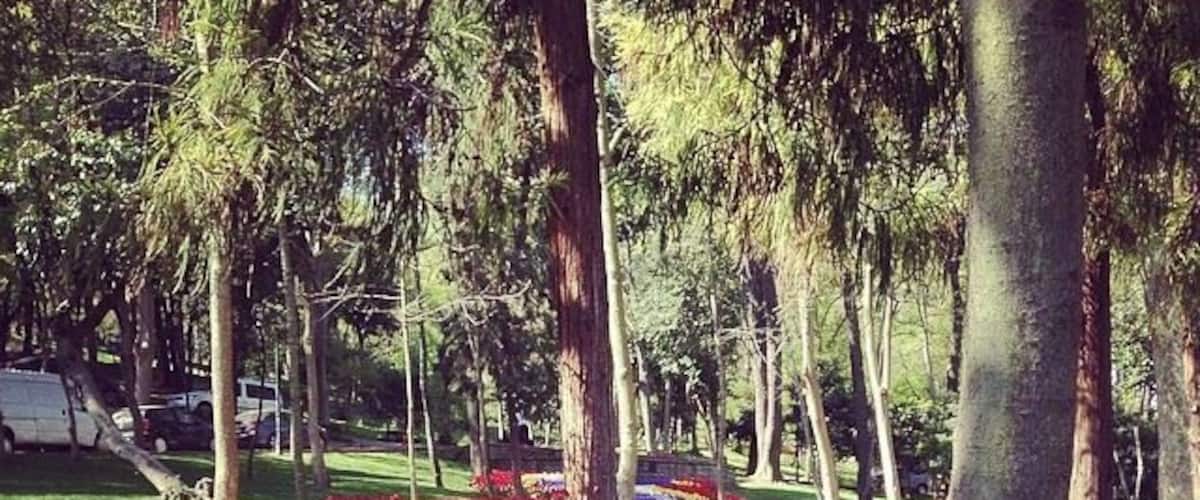 In a city of over 13 million people, Yildiz Park, meaning Star Park, is a #localgem . 
Stay on the trail and see the beautiful tulips in april and may- or wander off the beaten path and get lost in the forest, hidden away from the chaos of life outside.