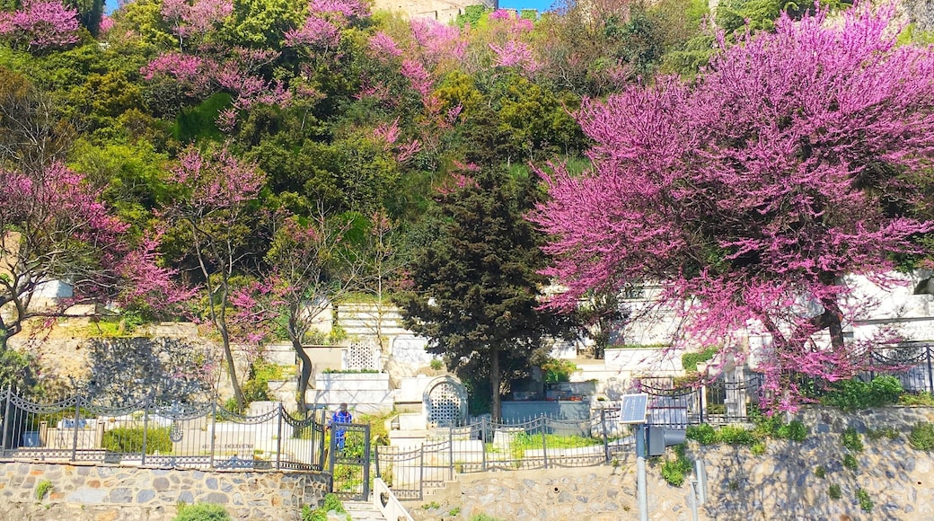 The beautiful colors of spring spreading across this fortress. If you think this is breathtaking, wait till you look across the other side, as this castle sits right across from the third bridge of the Bosporus.
#LifeatExpedia
#Details