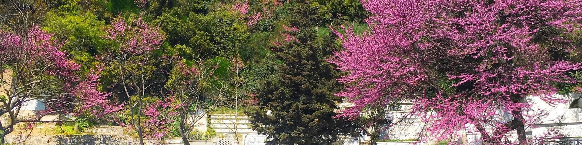 The beautiful colors of spring spreading across this fortress. If you think this is breathtaking, wait till you look across the other side, as this castle sits right across from the third bridge of the Bosporus.
#LifeatExpedia
#Details
