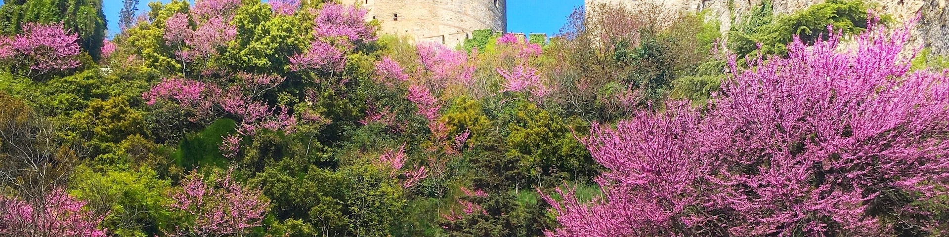 The beautiful colors of spring spreading across this fortress. If you think this is breathtaking, wait till you look across the other side, as this castle sits right across from the third bridge of the Bosporus.
#LifeatExpedia
#Details