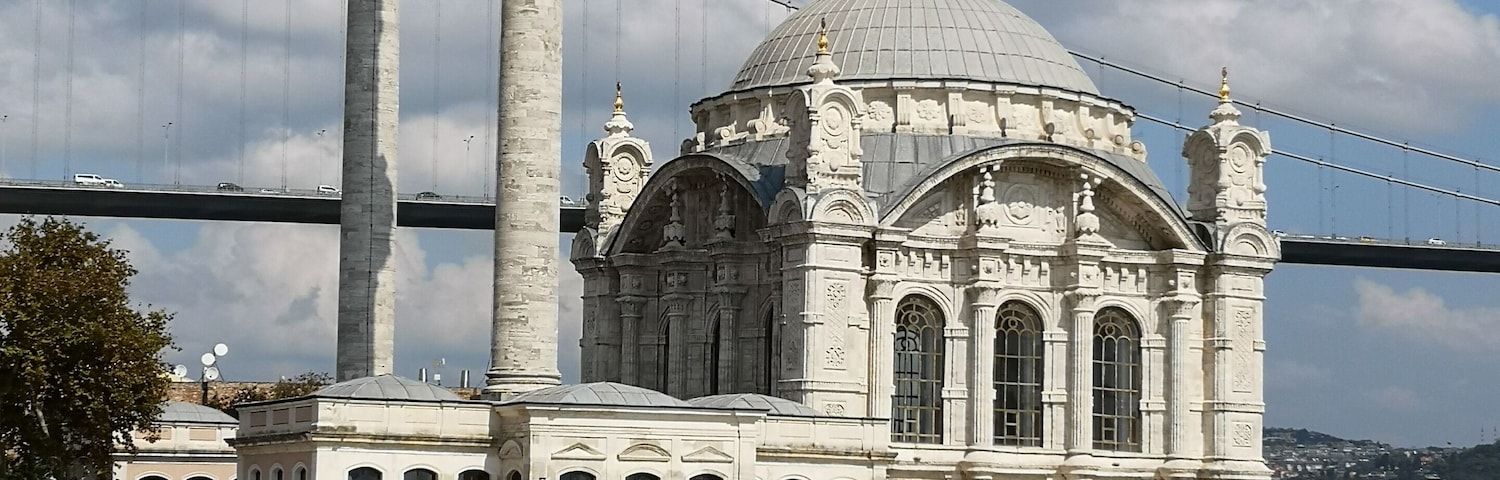 Taken from the Bosphorus cruise