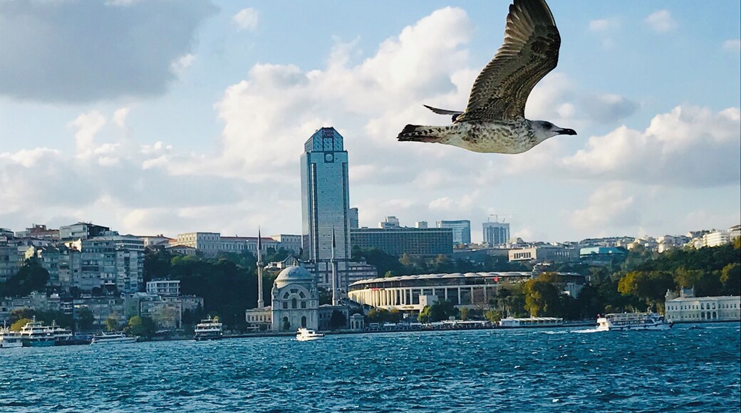 #Adventure
Every experience takes a unique shape and flavor in a city full of adventures.