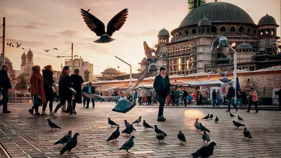 You can find a beautiful moment in the most mundane situations...
I saw a little spotlight on the ground created by the late afternoon sun as I was walking through this crowded Taksim Square Istanbul, it was the whole reason I stopped, was only for 30 seconds, got down to my photographer’s squat (I’m sure it ain’t pretty😅), took 2 iPhone Live shots.
Be aware, be observant, notice and appreciate the beauty in your day to day life... 😊
#istanbul