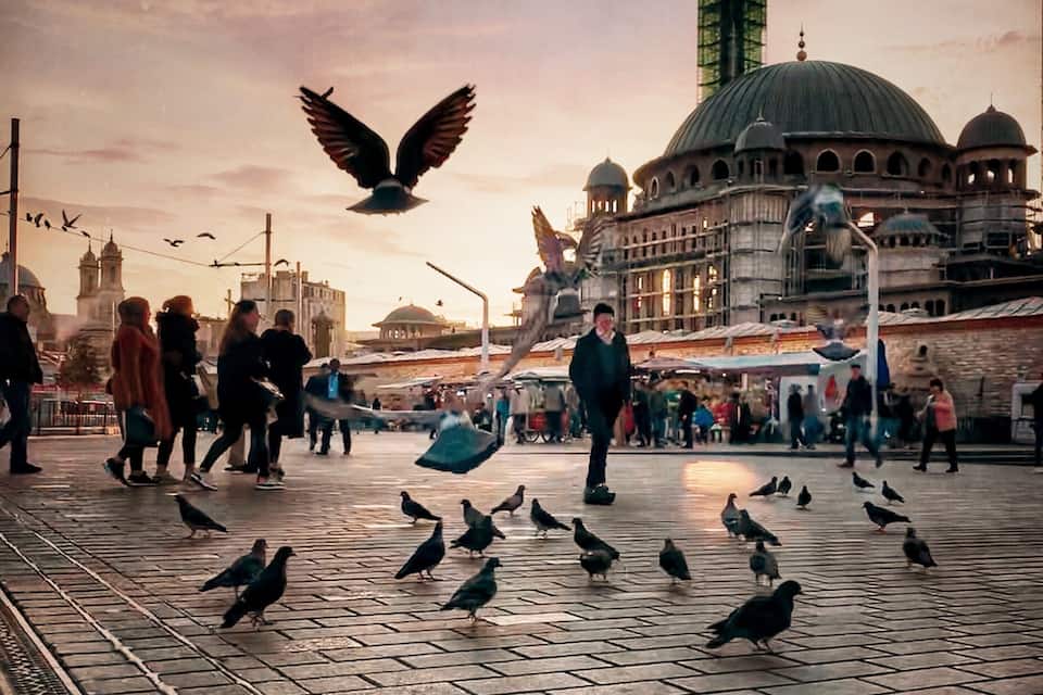 Une place animée, où l’on peut observer des pigeons, des passants et admirer une architecture historique.