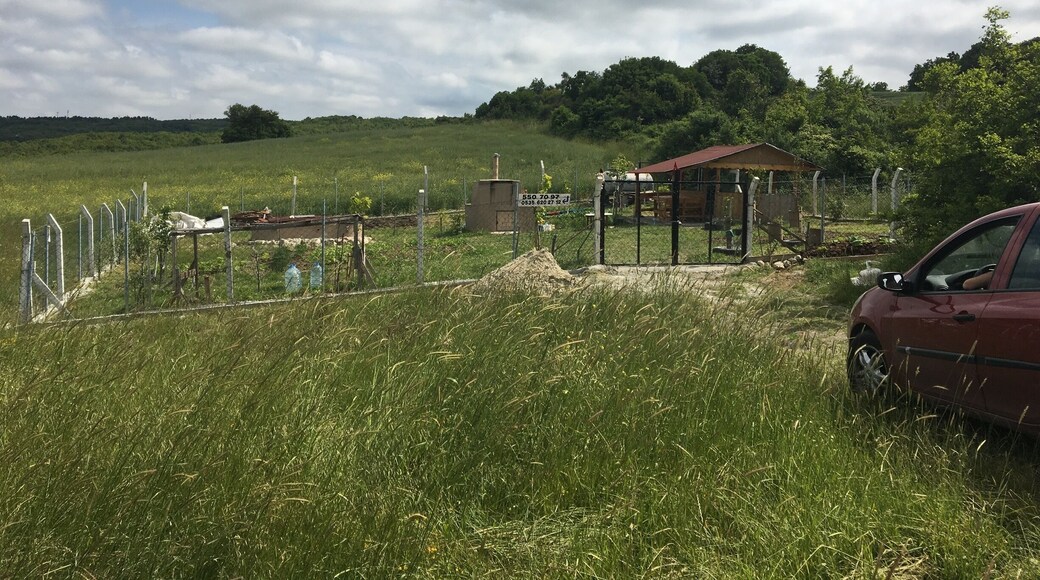 Silence of the lamb , happy and great hours with family with no water no eat . Happy ramadan