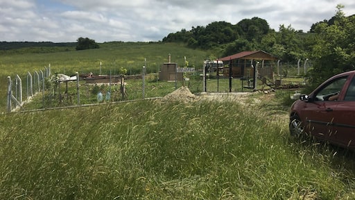 Silence of the lamb , happy and great hours with family with no water no eat . Happy ramadan