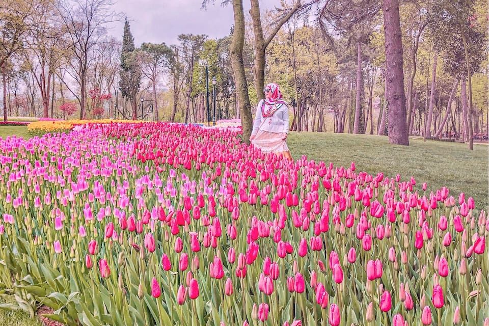 Een park met een tulpenveld en bomen op de achtergrond.