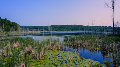 Suttons Bay Michigan