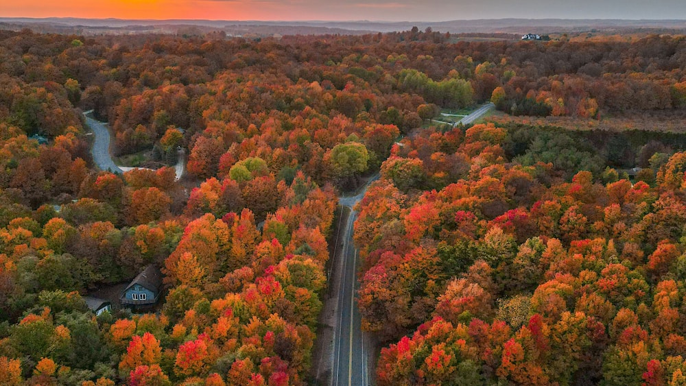 Beautiful Fall Colors in Northern Michigan
