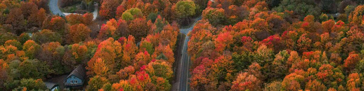 Beautiful Fall Colors in Northern Michigan