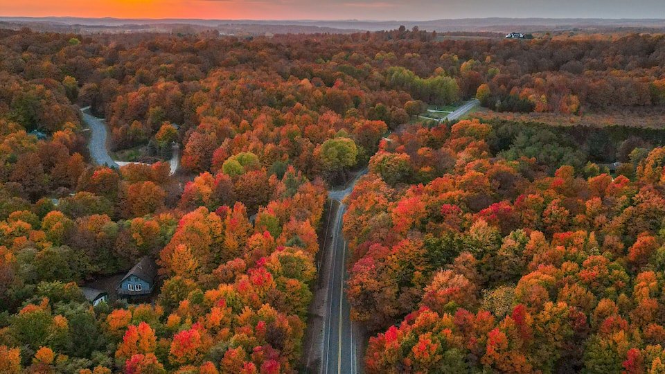 A road through a forest with autumn foliage, a sunset, and a distant house.