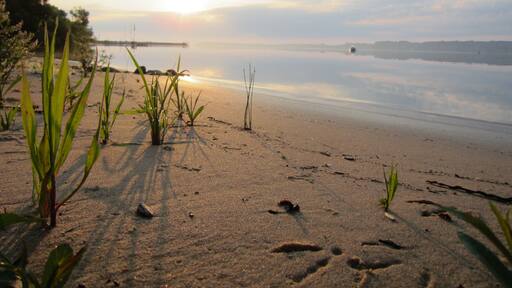 Sunrise over Suttons Bay, Lake Michigan