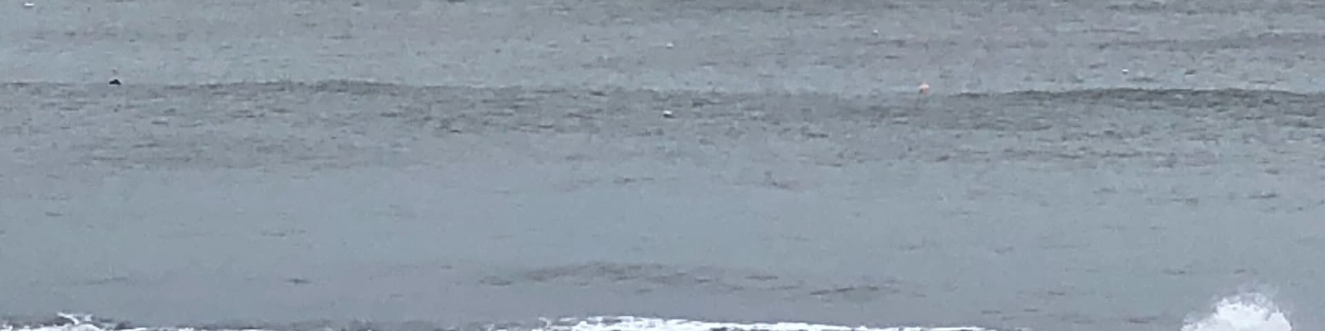 Long paddle out. Nice but crowded surf spot, when the wind is from the north.