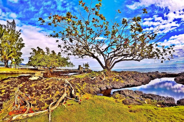 Coconut Island is glowing from the morning sun. There's easily accessible swimming spots, lots of shade from large flowing trees, amazing views of Hilo Bay, Liliuokalani Park and the two hotels overlooking the bay. #hilo #hawaii #coconut #island