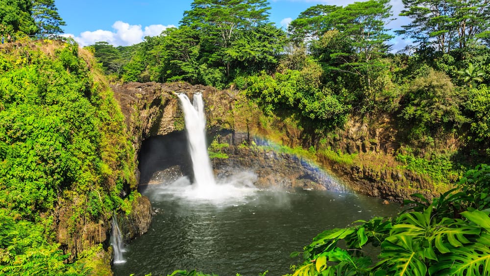 A waterfall cascading into a river surrounded by lush greenery and dense forest.