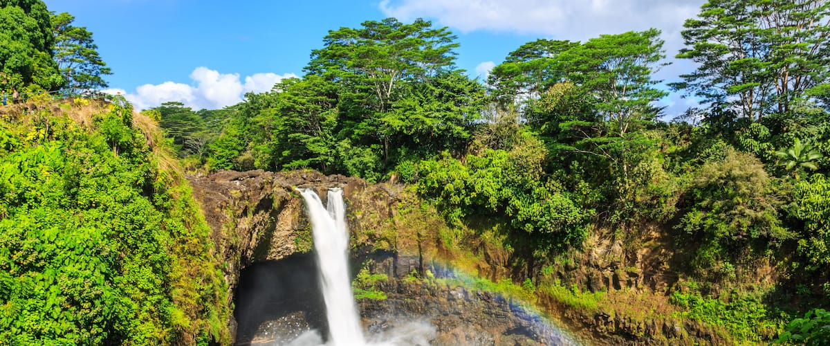 A waterfall cascading into a river surrounded by lush greenery and dense forest.