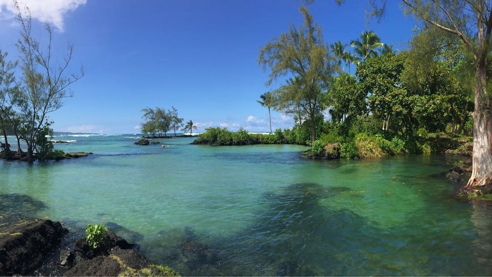 Beautiful beach wit massive turtles!