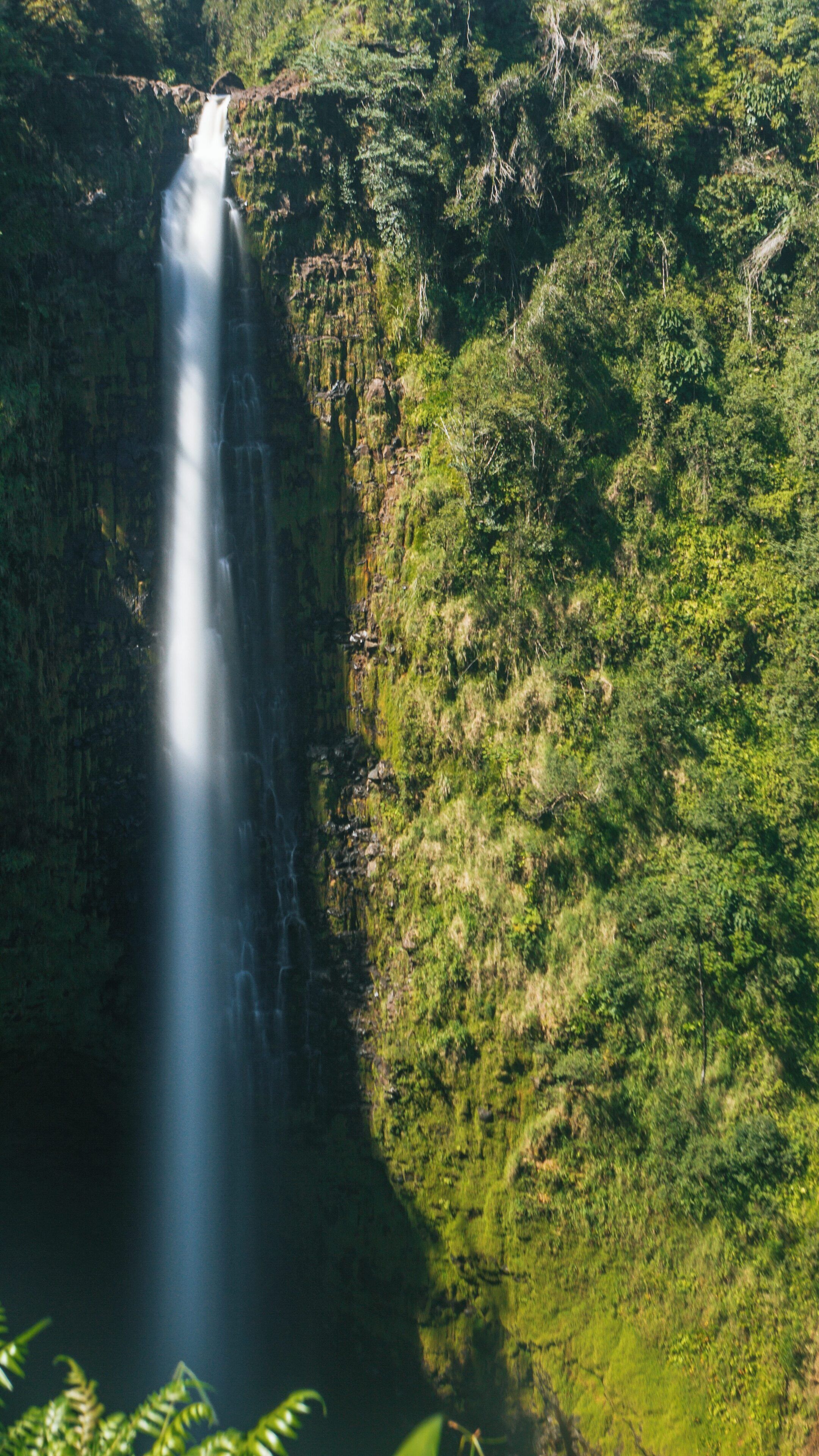 Magnificent Akaka Falls cascades in lush Hilo, Hawaii, showcasing nature's beauty in a vibrant green setting