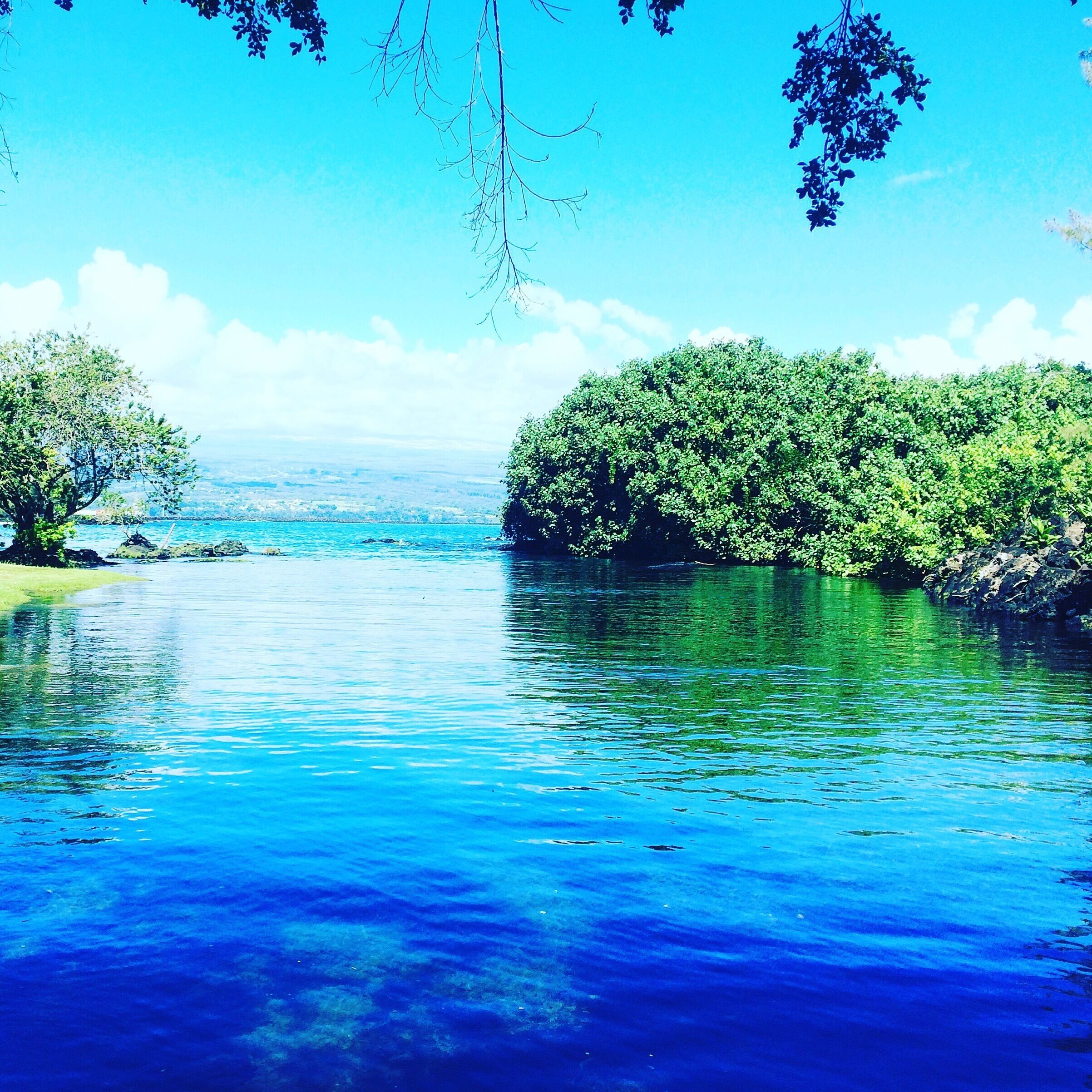 This was our Sunday Snorkelling spot on a recent trip to Hawaii. The water was beautifully clear and calm and the sun was beating down! 
Where's your favourite snorkelling spot?