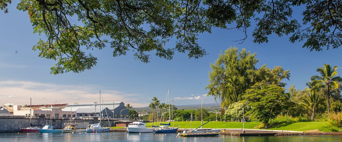 A marina with boats docked, a building with a metal roof, and palm trees in the background.