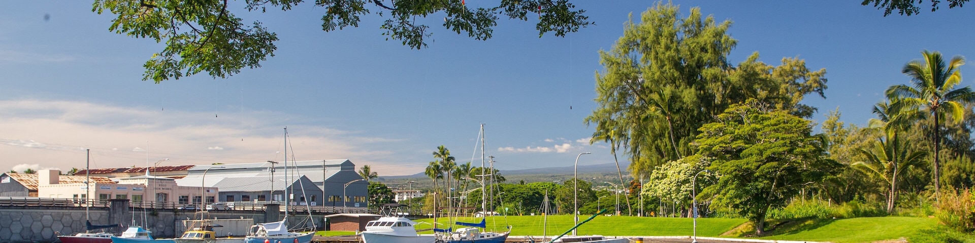 A marina with boats docked, a building with a metal roof, and palm trees in the background.
