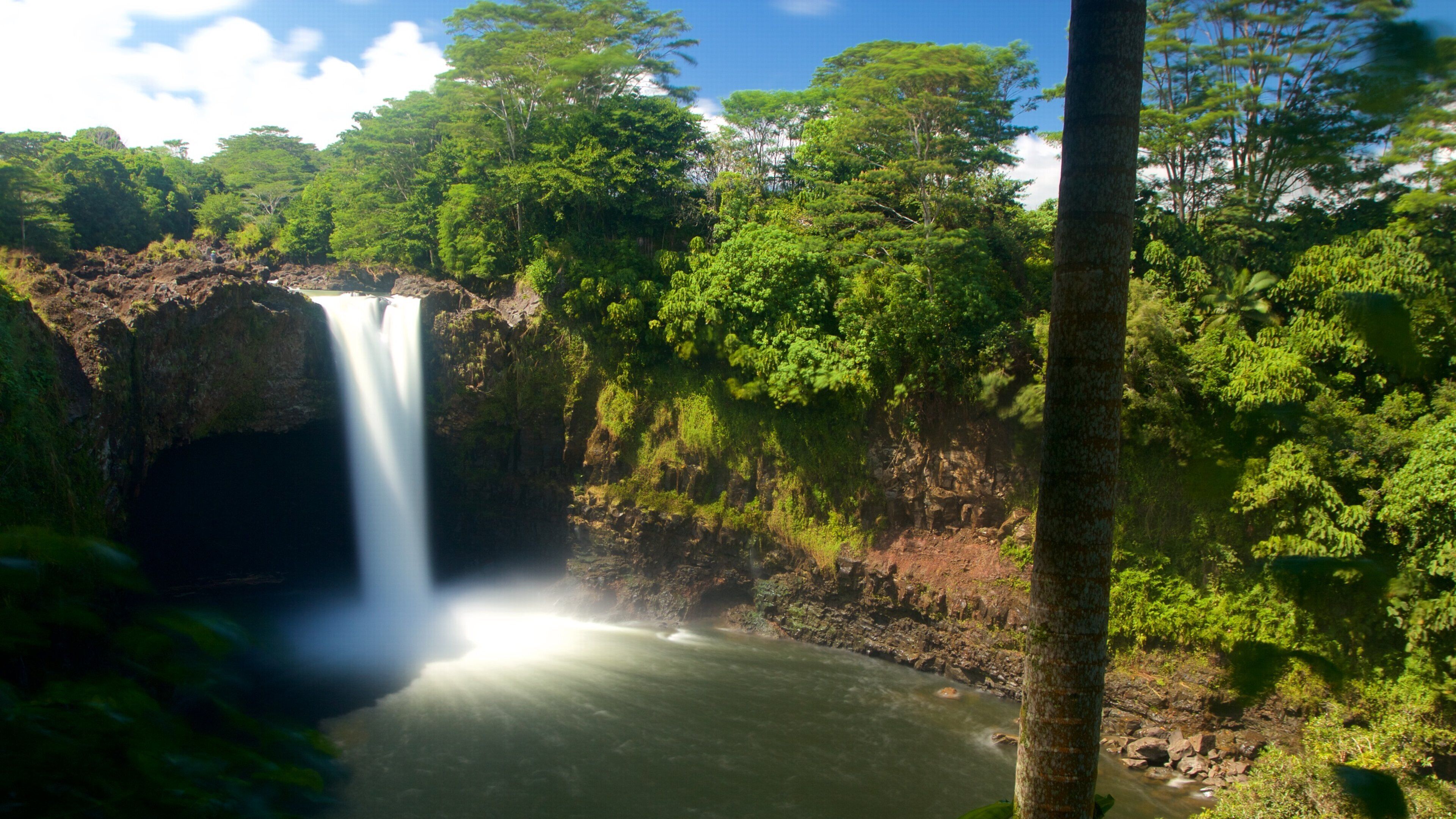 A waterfall surrounded by lush green forest.