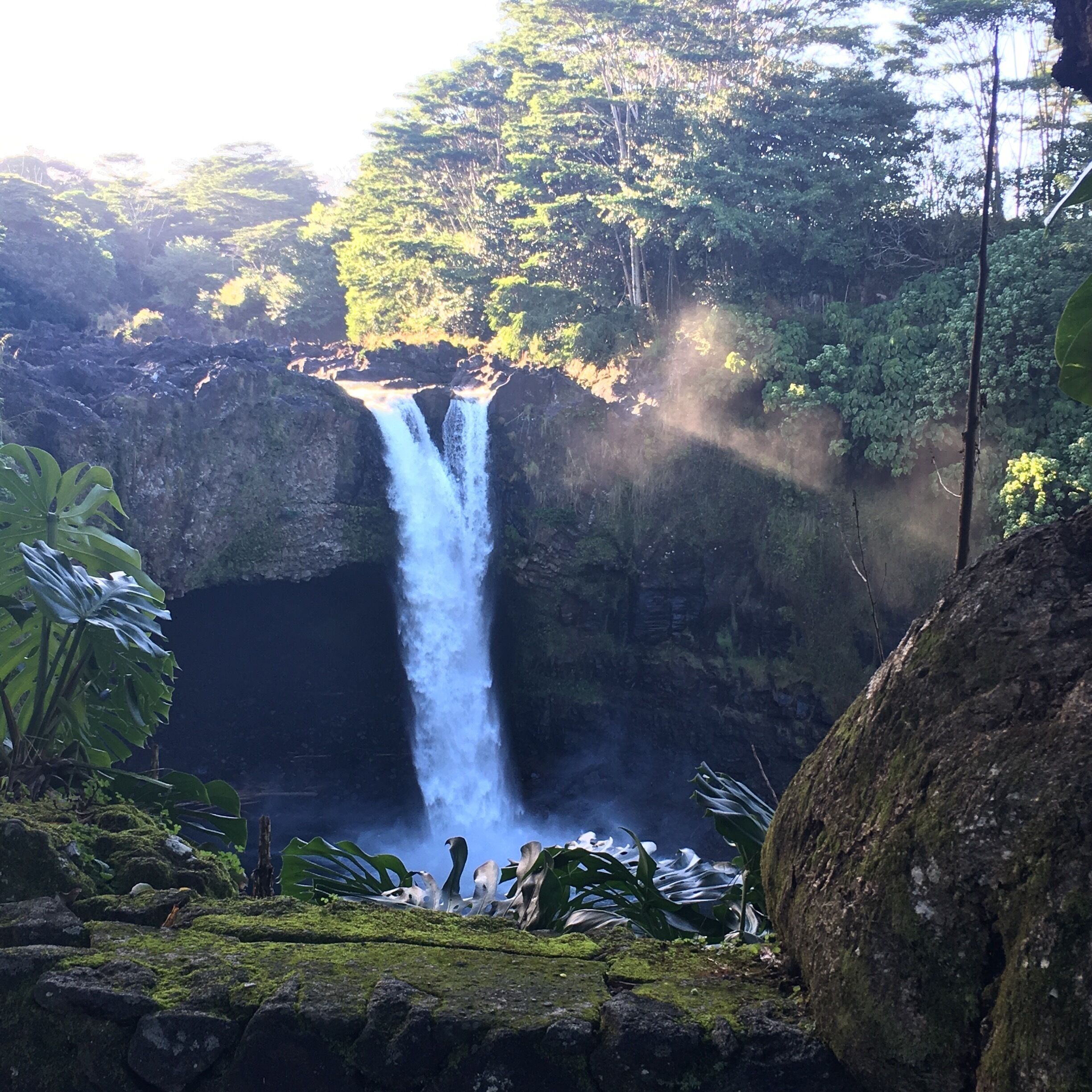 Depending on the time of day, you can see one or multiple rainbows from different vantage points around the falls. 