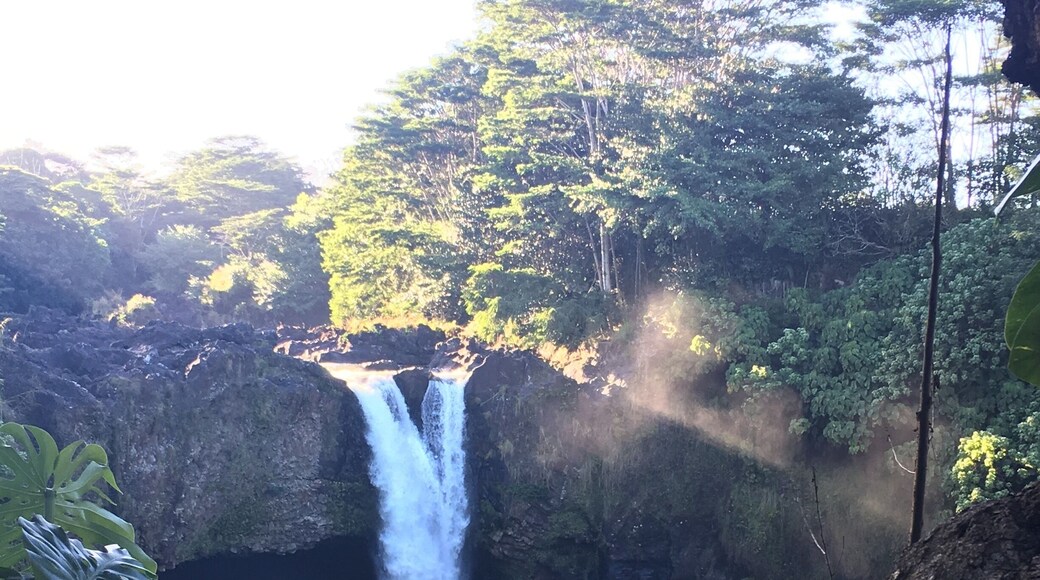 Depending on the time of day, you can see one or multiple rainbows from different vantage points around the falls.