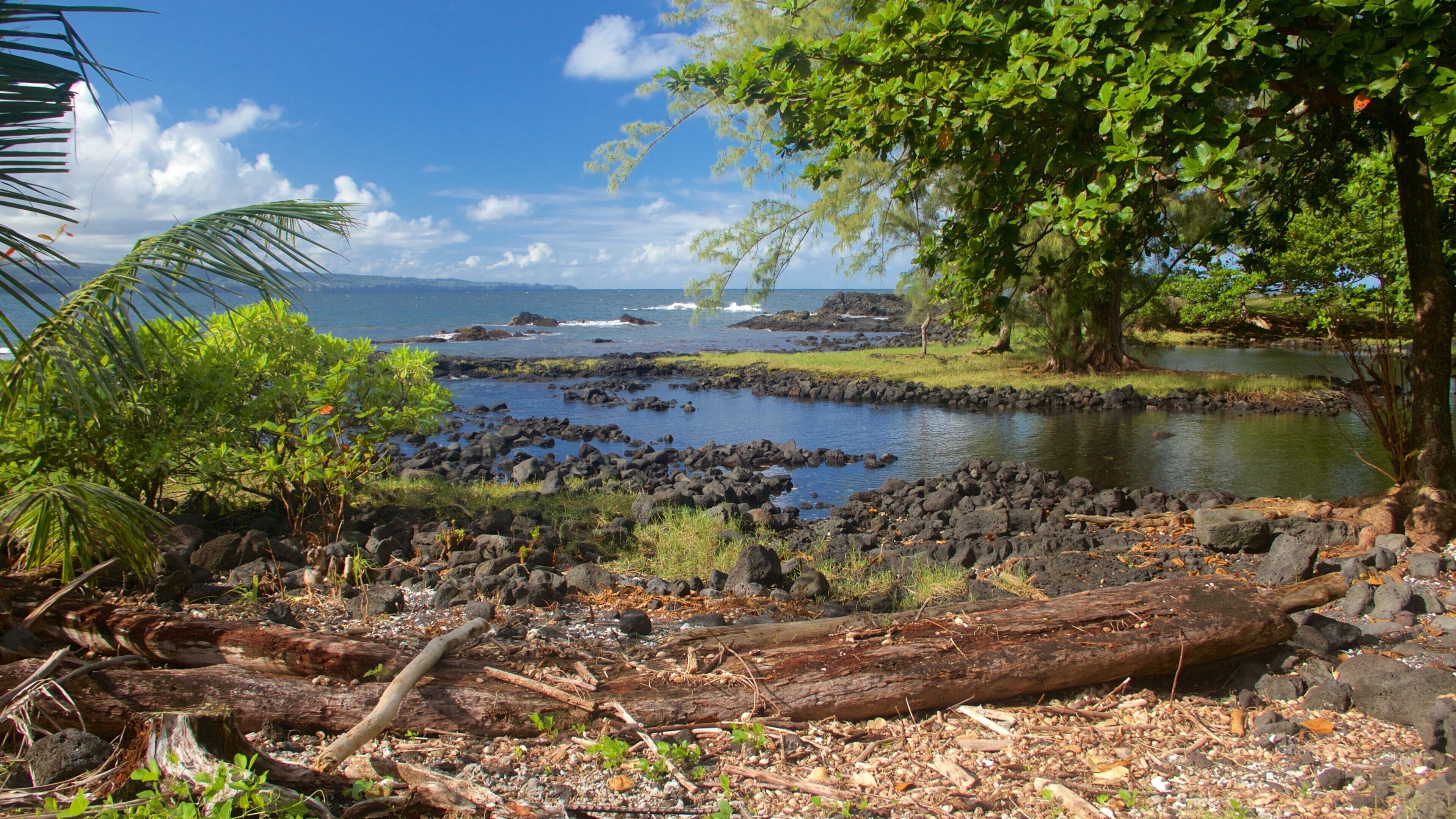 A coastal landscape with a rocky shoreline, a small body of water, and lush greenery.