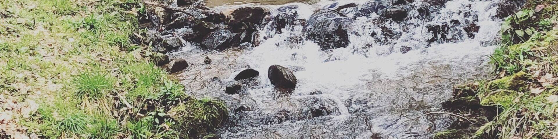 The river that runs through the mountains in North Carolina