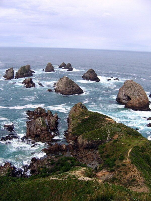 When visiting New Zealand make sure to get all the way to the south end of the South Island.  You will be treated to some lovely landscapes as well as interesting wildlife. More details: http://turtlestravel.com/dont-skip-invercargill-and-new-zealands-southland/