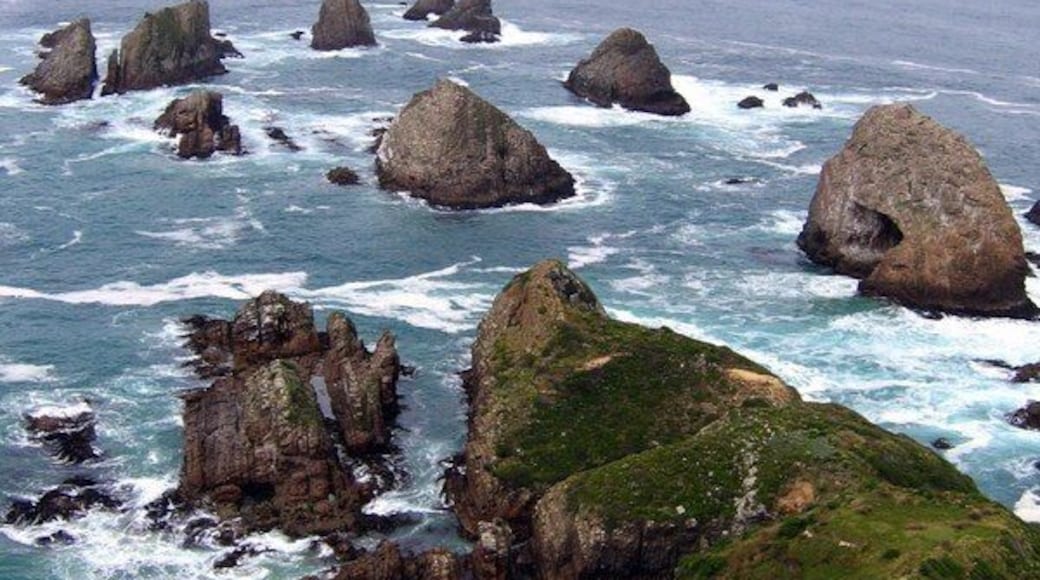 When visiting New Zealand make sure to get all the way to the south end of the South Island. You will be treated to some lovely landscapes as well as interesting wildlife. More details: http://turtlestravel.com/dont-skip-invercargill-and-new-zealands-southland/