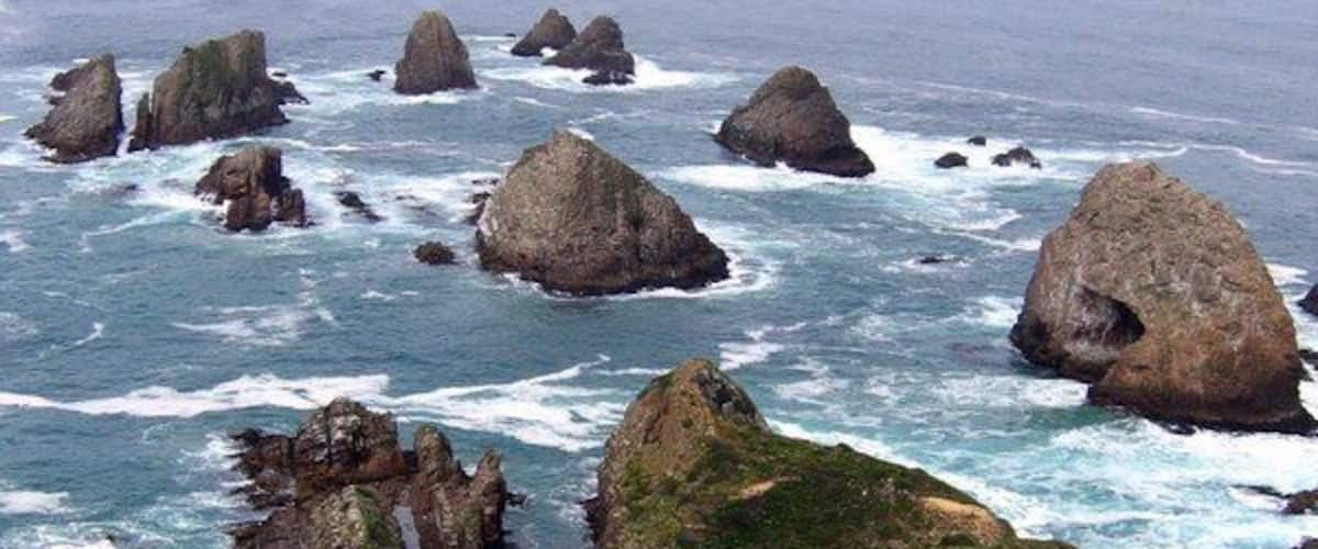 When visiting New Zealand make sure to get all the way to the south end of the South Island. You will be treated to some lovely landscapes as well as interesting wildlife. More details: http://turtlestravel.com/dont-skip-invercargill-and-new-zealands-southland/