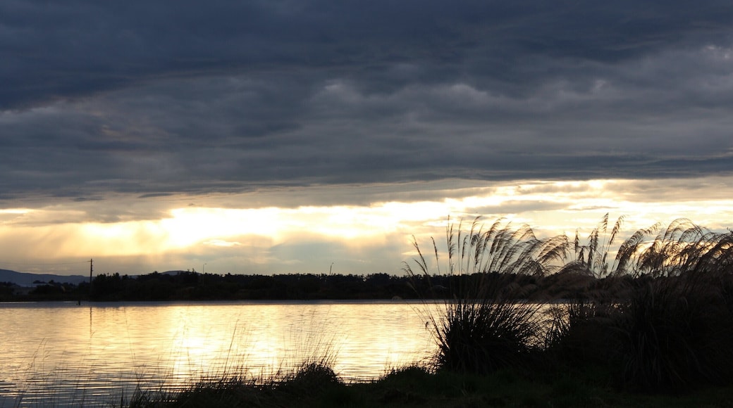 sunset at the estuary - the area beside the estuary used to be the city landfill and has been a restoration project since 1994 with ongoing planting and pest plant control. Walking and cycling loop track around the Lagoon and across the Roger Sutton Boardwalk. Interpretation, seating and bird watching opportunities. Views extend to Bluff Hill further south.
