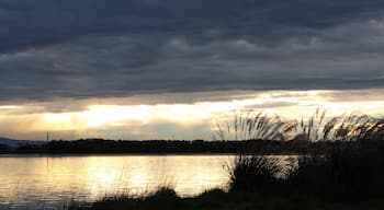 sunset at the estuary - the area beside the estuary used to be the city landfill and has been a restoration project since 1994 with ongoing planting and pest plant control. Walking and cycling loop track around the Lagoon and across the Roger Sutton Boardwalk. Interpretation, seating and bird watching opportunities. Views extend to Bluff Hill further south.