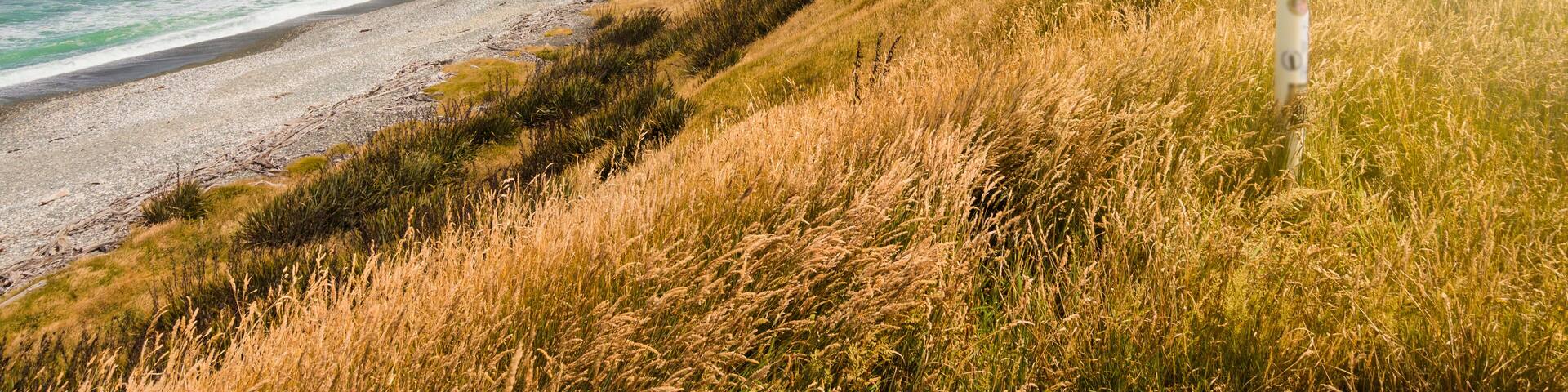 Distance and direction signpost on a beautiful, sunny beach. McCracken's Rest, Southland, New Zealand.
