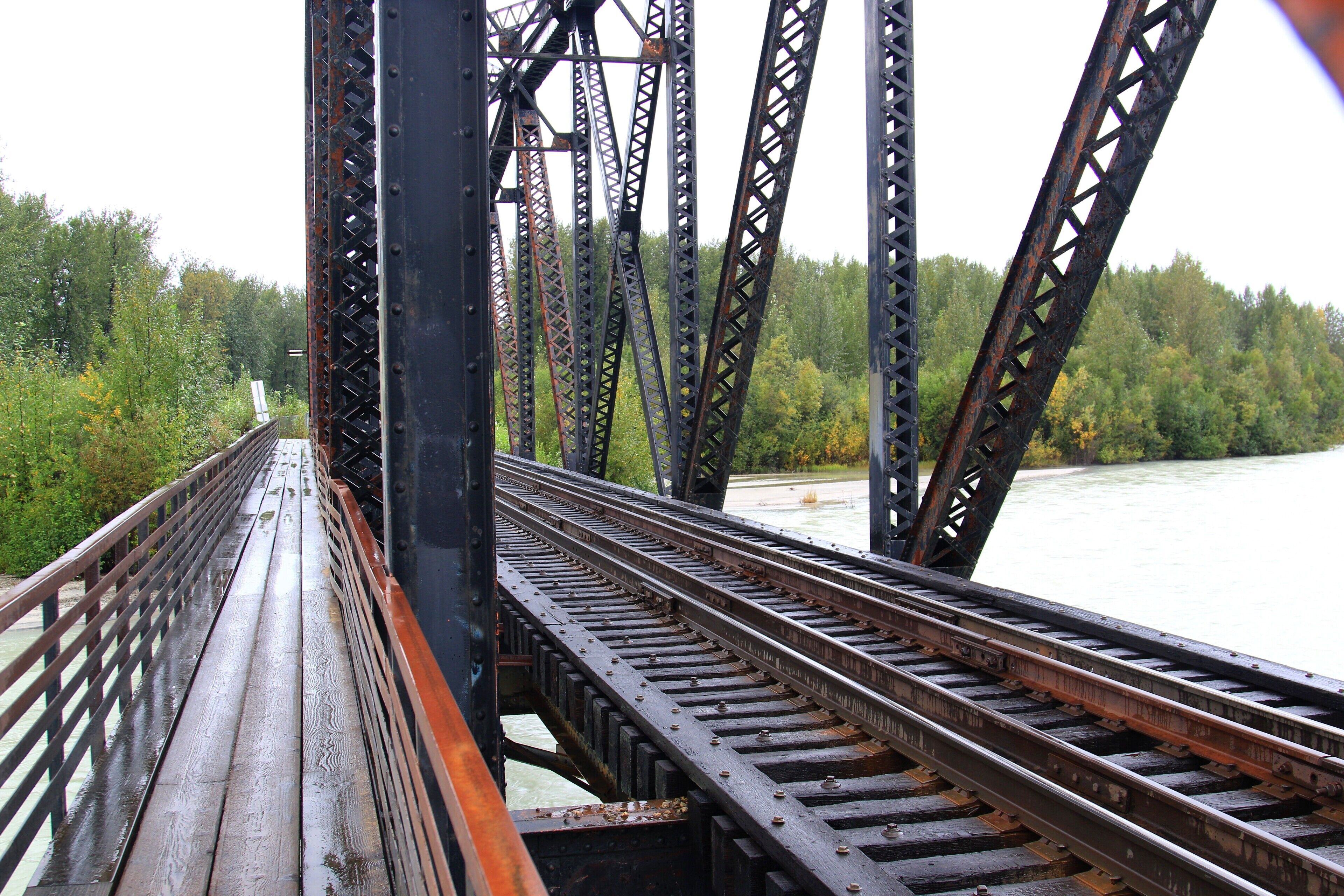 A little tense when walking down to the trail head,  when an Alaskan train comes roaring by.