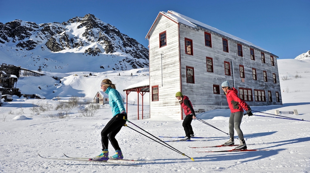Talkeetna showing cross country skiing, snow and mountains