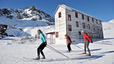 Talkeetna featuring mountains, snow and cross-country skiing