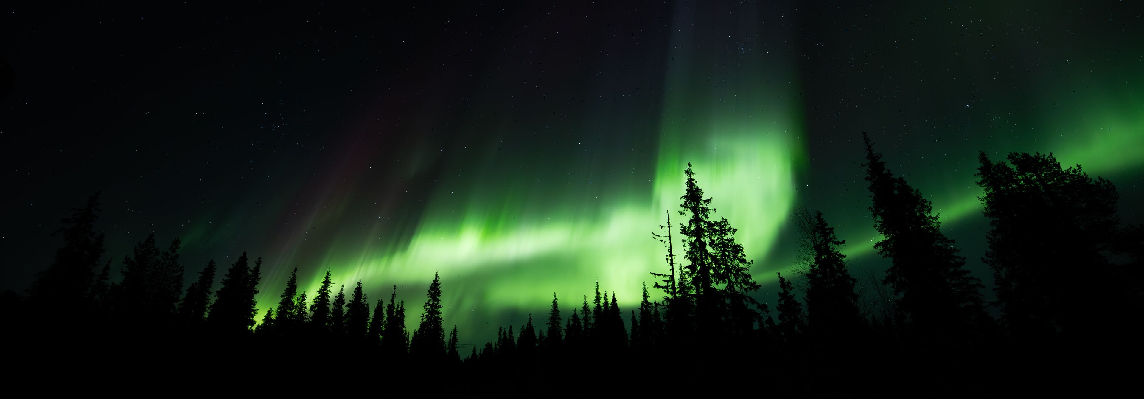 Aurora borealis in night winter sky. Sky with polar lights and stars. Waves of green Northern lights in Earth atmosphere