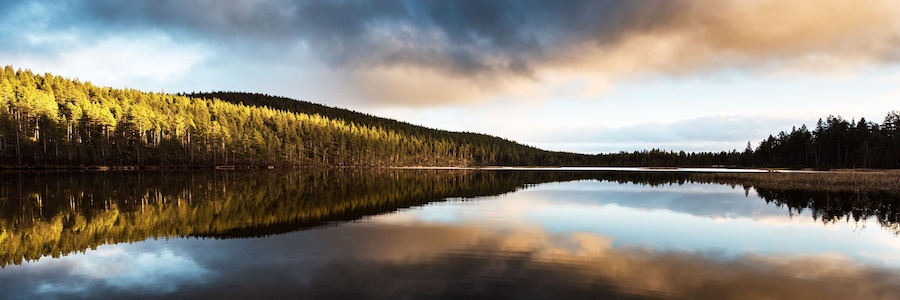 A calm lake reflecting a dense forest and a cloudy sky.
