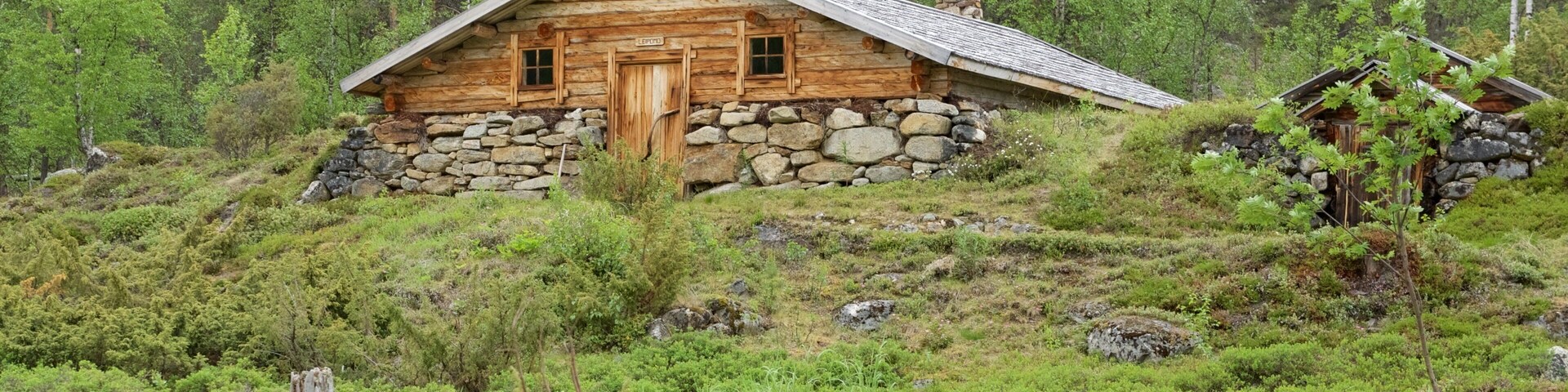 A wooden cabin with a stone foundation surrounded by lush greenery and a forested backdrop.