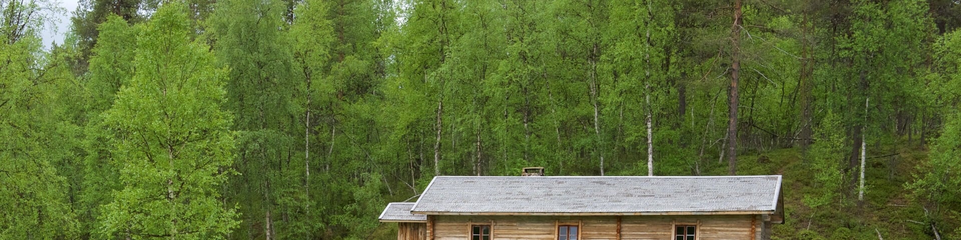 Ivalo featuring forest scenes and a house