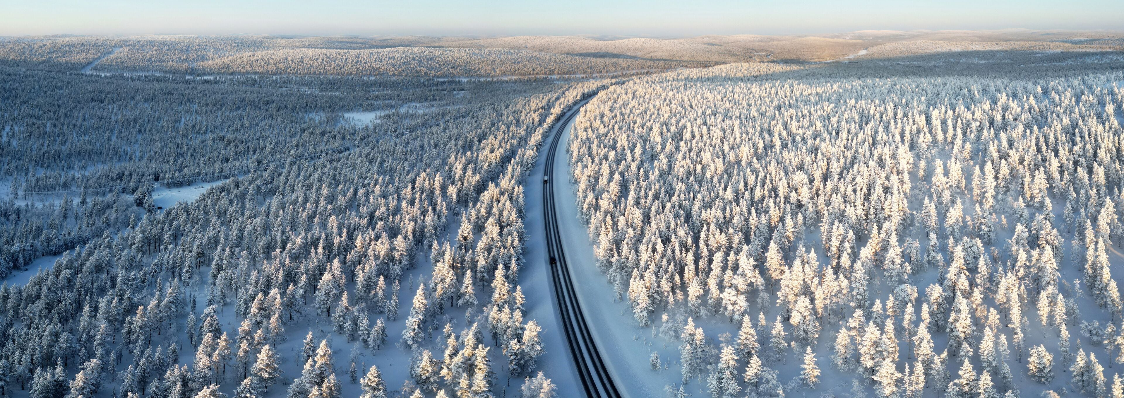 An aerial view of a snow-covered forest with a winding road.
