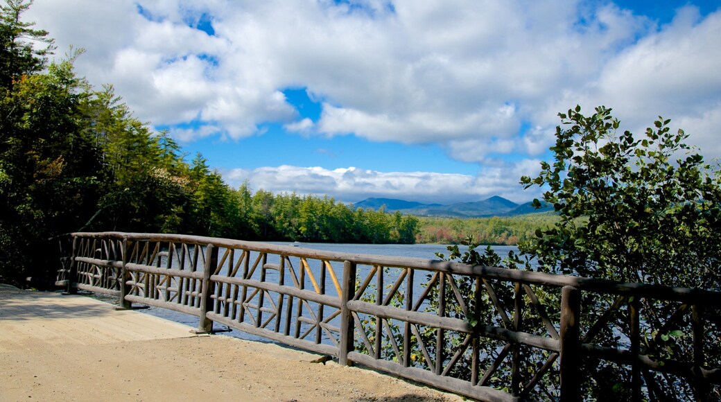 Tamworth featuring a bridge