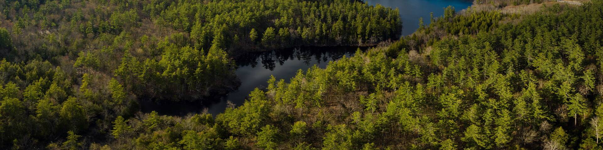 A lake surrounded by dense forest and mountains in the background.