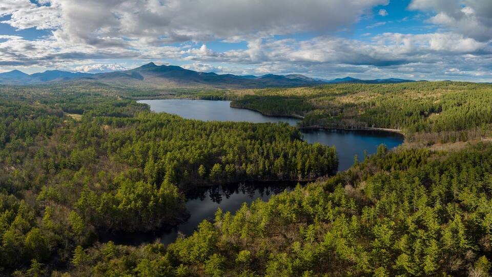 A lake surrounded by dense forest and mountains in the background.