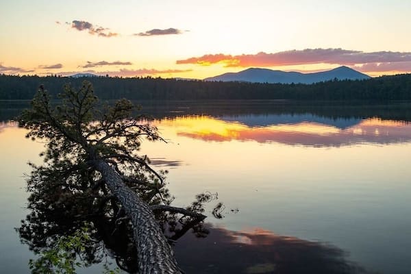 A calm lake at sunset with a tree in the foreground and mountains in the background.